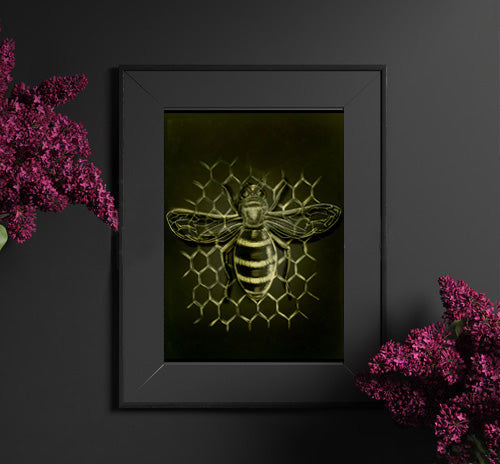Kaitlyn Adams "Bee" Lustre Art Print